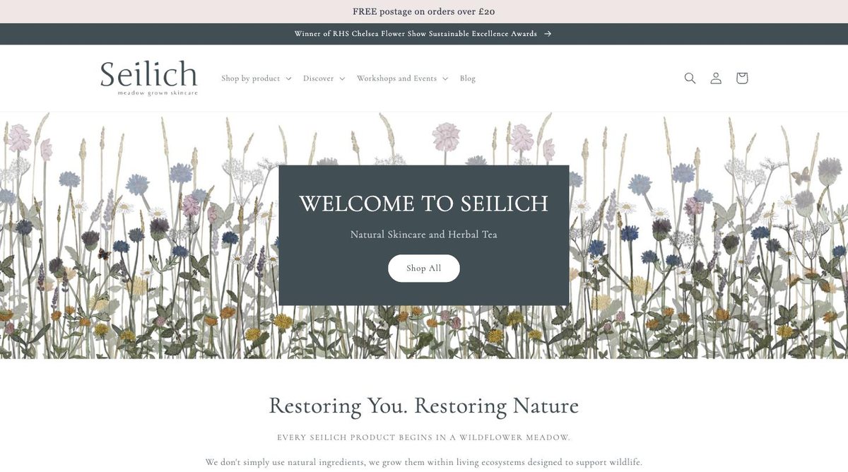 Seilich website